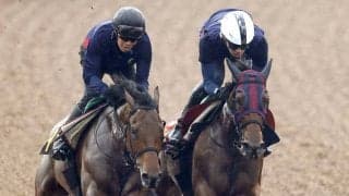 【ヴィクトリアＭ・１週前】エンブロイダリー超抜の伸び４馬身先着