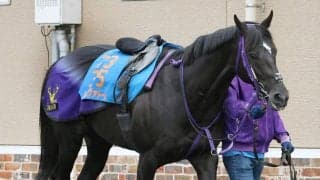 【エプソムＣ】重賞連勝狙うトロヴァトーレは６枠１１番　カラマティアノスは２枠４番　枠番確定
