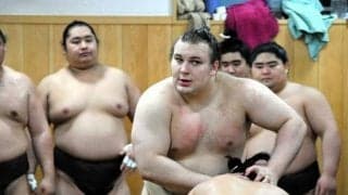 カド番の大関安青錦が休場　横綱大の里も　大相撲夏場所、10日初日