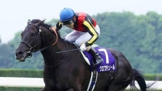 クロワデュノールの母ライジングクロスが昨年１０月末に死んでいた　孝行息子の活躍を最後まで見届けられず…