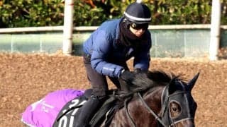 【京都新聞杯・金曜気配】５・９億円の超高額馬エムズビギンが軽快なキャンター　友道調教師「デビュー以来、一番いいと思うけど…」