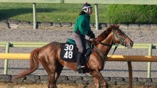 【京都新聞杯・金曜気配】ダービー出走を目指すアーレムアレスが先輩Ｇ１馬と最終調整　陣営「体は本当に良くなりました」
