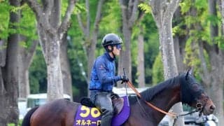 【ＮＨＫマイルＣ・土曜気配】オルネーロは張りのある馬体が目を引く　宮田調教師も太鼓判「体つきは過去イチくらい」