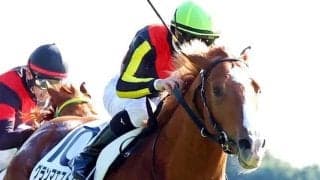 超良血馬が６戦目でも勝てずファン落胆「前が壁か〜」「ダートでみたい」　一口５００万円のグランマエストロは４着