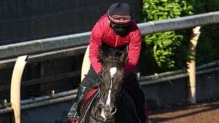 土曜京都競馬場の注目激走馬…京都１１Ｒ京都新聞杯・Ｇ２