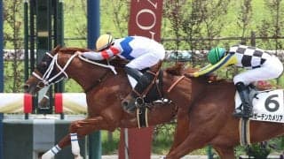 「Ｇ１を勝ったみたい」Ｍデムーロ騎手が京都７Ｒでアメリカから帰国後初Ｖ　国内では約５か月ぶりの勝利
