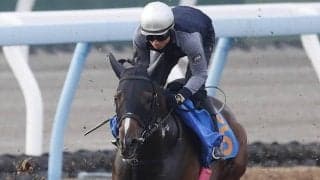 土曜東京競馬場の注目激走馬…東京１１Ｒエプソムカップ・Ｇ３