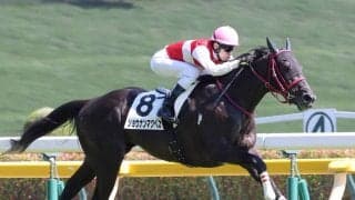 「バグやろ」「当たったゾ～～～～！」「大勝利」ガチガチの決着にネット投げやり発言！？　東京８Ｒで３連複１８０円　