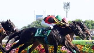 【エプソムＣ】トロヴァトーレが鼻差で重賞２連勝　ルメール騎手の口も滑らか「上のレベルにトライしないといけない」