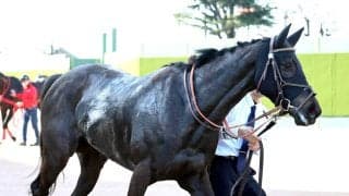 【注目馬動向】東風Ｓで約１年ぶりの勝利を飾ったヴァルキリーバースは府中牝馬Ｓへ　サンデーサラブレッドクラブが発表