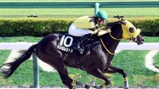 【東京１０Ｒ・青竜Ｓ】ドンエレクトスがオープン４度目の挑戦で待望の初Ｖ　荻野極騎手「今後に弾みがつく内容」