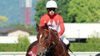 【京都新聞杯】３番人気アーレムアレスはまさかの１４着　菱田裕二騎手も首かしげる「ちょっと敗因がつかめない感じです」