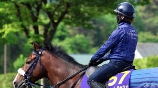 【ＮＨＫマイルＣ・土曜気配】２歳王者カヴァレリッツォが現地入り　渋滞に巻き込まれるも陣営「恥ずかしい競馬をしないように」
