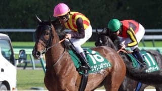復活した桜花賞馬の走りにネット歓喜「トンネル長かった」「着差を見ると…」　ステレンボッシュがエプソムＣで２着に好走