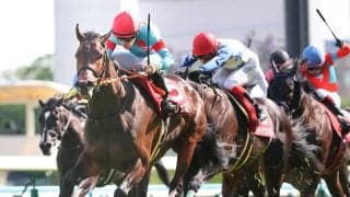 【京都新聞杯・レースメモ】コンジェスタスが無傷３連勝　生産牧場の史上最長記録ノーザンファームが１４週連続重賞勝利