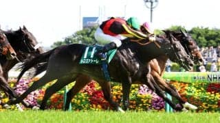 【エプソムＣ】トロヴァトーレが重賞連勝　極上の末脚に鹿戸調教師「安田記念を視野に入れたい」