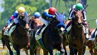 【東京４Ｒ・３歳未勝利】シャケトラの弟ランブルスコがしぶとい脚で初Ｖ　ルメール騎手「直線でずっと反応してくれた」
