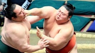 新十両・大花竜が白星発進「止まらず前に出られて良かった。ホッとしてます」