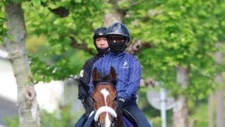 【ＮＨＫマイルＣ】西村淳也騎手「少しテンションが…」昨年の最優秀２歳牡馬カヴァレリッツォは１２着に沈む