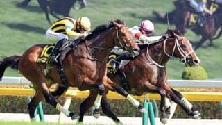 【東京１０Ｒ・メトロポリタンＳ】ウエストナウが激しい競り合い制す　高杉吏麒騎手「頭出られたけど良く抜け出してくれました」
