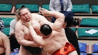 新十両の大花竜「緊張しました」白星発進「前に出れば大丈夫」父のエール通りの内容に笑顔