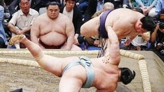 義ノ富士が初の大銀杏を披露　初土俵からちょうど２年