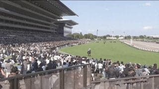 名馬の登場に競馬ファン大歓声… 大一番で“誘導役”先輩馬が母の日のあしらいで登場のシーンが話題に「美しさも可愛さも兼ね備える」