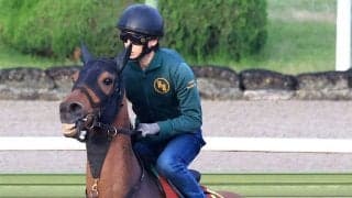 【Ｇ１・１週前まとめ】ココナッツブラウン４か月ぶり実戦も不安ない　上村調教師「動けている。１６００メートルの方がしまいの脚を生かしやすい」