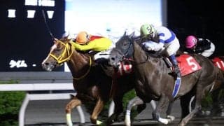 【高知・春野特別】単勝１３０円のミスズグランドオーが接戦制してＶ　塚本征吾騎手「最後は早くゴールが来てくれという気持ちでした」
