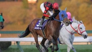 【盛岡・シアンモア記念】ルコルセールが重賞連勝…ヒロシクンは2着