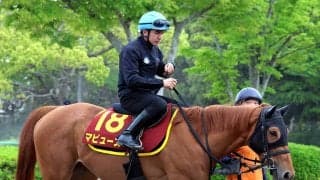 【ヴィクトリアＭ・角田の特注馬】同舞台でエンブロイダリーの２着　マピュースが「ゴンちゃん」と大仕事だ