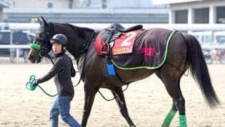 【ヴィクトリアマイル・山下の特注馬】気性が成長したエリカエクスプレスが面白い　武豊騎手の騎乗も魅力
