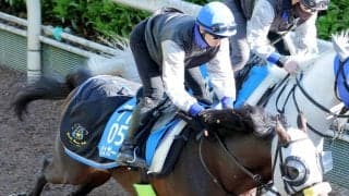 【新潟大賞典】武豊騎手と２年ぶり復帰戦のシュガークン　キタサンブラック弟が坂路で４９秒８を出す「キャラ変」