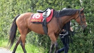 【ヴィクトリアＭ・ヤマタケの特注馬】持続力ある末脚は広いコースでこそ　パラディレーヌが大舞台で輝く