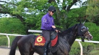 【ヴィクトリアＭ】Ｇ１現役最多タイ２３勝の友道厩舎が勝負をかけるカムニャック　エンブロイダリー逆転へのカギ