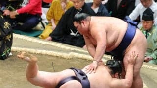 友風が連敗も「よく足は出ています。良いんじゃないですか」と納得