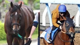 【新潟大賞典】武豊騎手のシュガークンは２年ぶり復帰戦で５８キロ　ルメール騎手のドゥラドーレスも５８キロ　ハンデ発表