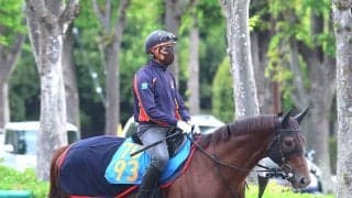 【新潟大賞典】転厩初戦のシンハナーダが２度目の重賞挑戦　巻き返しに向けて陣営「確実に変化してきています」