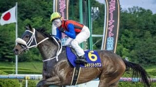 【注目馬動向】サキドリトッケンは九州優駿栄城賞へ　地元佐賀で重賞７連勝中「佐賀３歳三冠も達成するのか？！？」