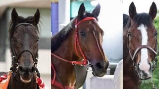 香港の巨人ロマンチックウォリアーに日本馬２頭が挑戦　ディープモンスター＆ローシャムパーク　香港３冠目の出走予定馬発表
