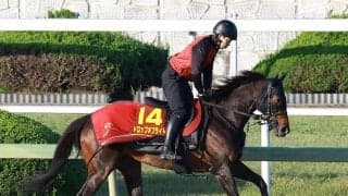 【ヴィクトリアＭ】７歳で充実のドロップオブライトはマイル複勝率１０割　陣営「この時期はいい。カイバもよく食べる」