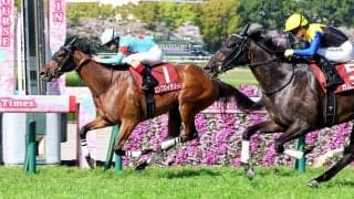 【ヴィクトリアＭ・超ブル診断ステップレース編】ハイレベルな阪神牝馬Ｓを逃げ切りで制したＧ１馬が「Ｇ」
