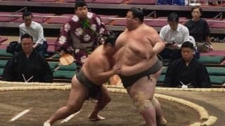 「※AIではありません」力士の怪力でも“動かない”252キロの壁にファン騒然 「絶対無理」「叫び声がすごい」115キロ差対決で力士苦悶