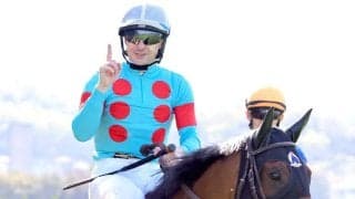 【ヴィクトリアＭ】４歳２強激突！充実一途の２冠エンブロイダリー「体つきがひとまわり大きくなり、体幹もしっかり」森一調教師
