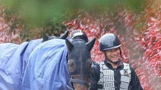 【注目馬動向】ミステリーウェイが宝塚記念を検討　天皇賞・春で逃げて８着　メイショウタバルとの先行争いに注目