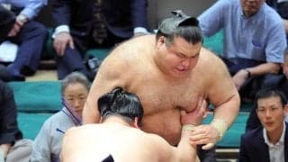 高安が初黒星　平戸海に敗れる…負傷か、右脚をひきずる様子も