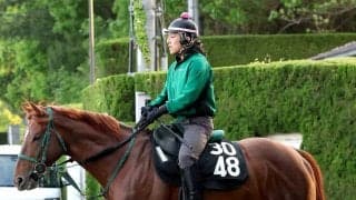 【注目馬動向】アーレムアレスは放牧でひと息入れる　橋口調教師「菊花賞には出走させたいです」
