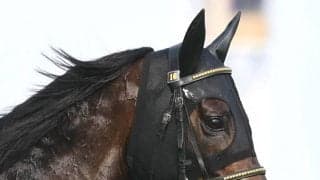 【注目馬動向】京王杯ＳＣを勝ったワールズエンドは安田記念が目標