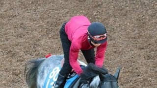 【新潟大賞典】ヤマニンブークリエは５６キロなら好勝負可能　松永幹調教師「このハンデはいいと思う」