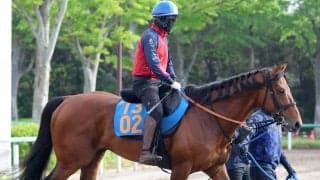 【新潟大賞典】ドゥラドーレス重賞初Ｖへの課題は精神面　宮田調教師「ネガティブになることなく取り組めている」